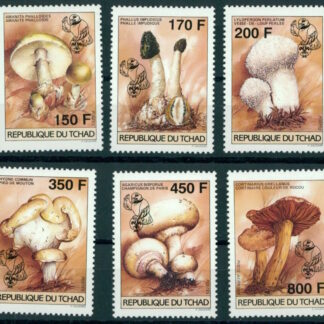Tschad, Pilze / Pfadfinder 1996, Postfrischer Satz